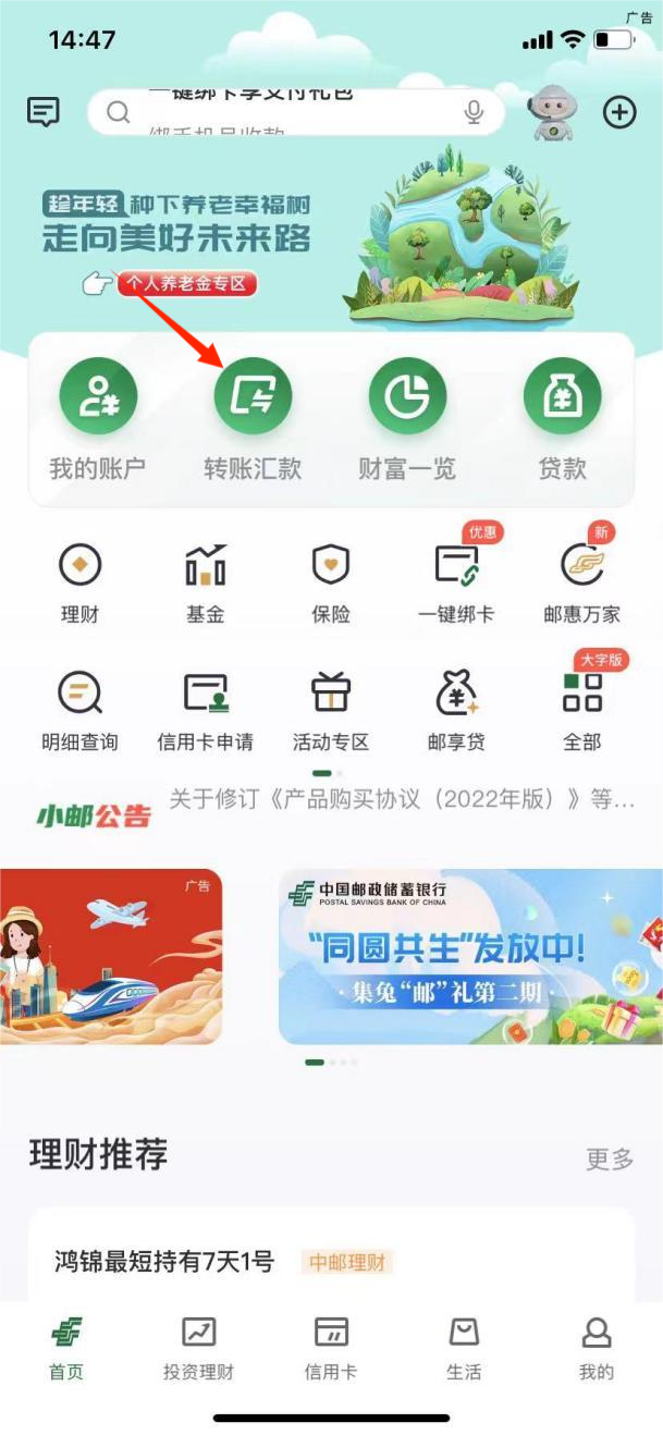 图片31